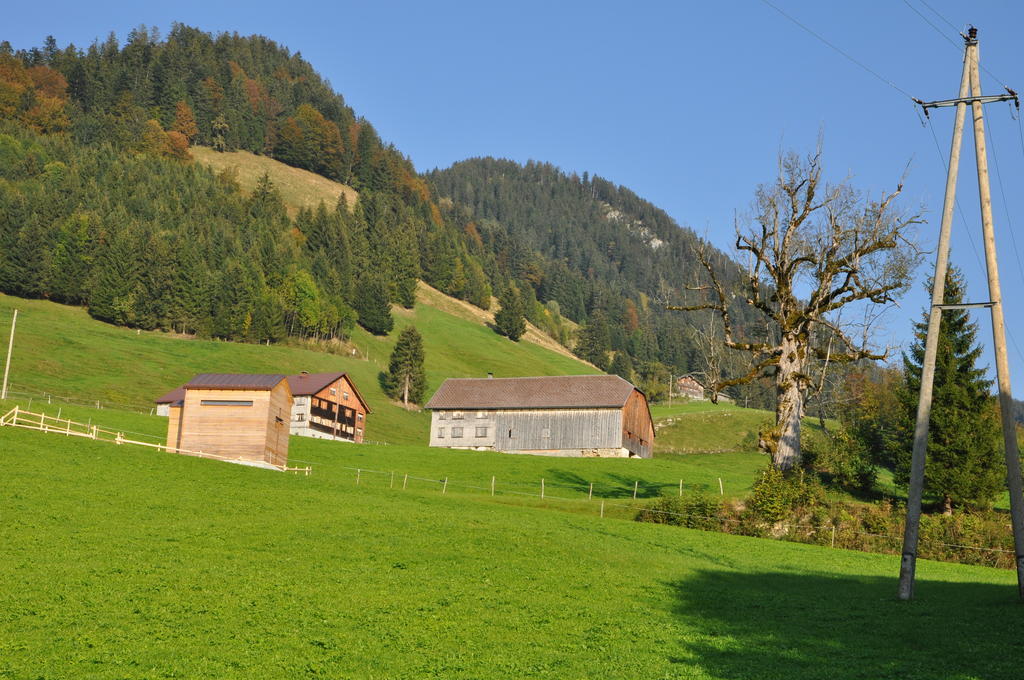 Gaestehaus Graf Bezau Pokój zdjęcie